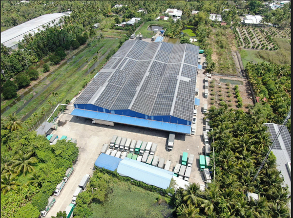 EPC NHÀ MÁY SẢN XUẤT PHÂN BÓN VÀ KHO TRUNG CHUYỂN